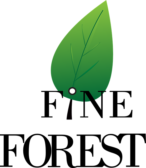logo3
