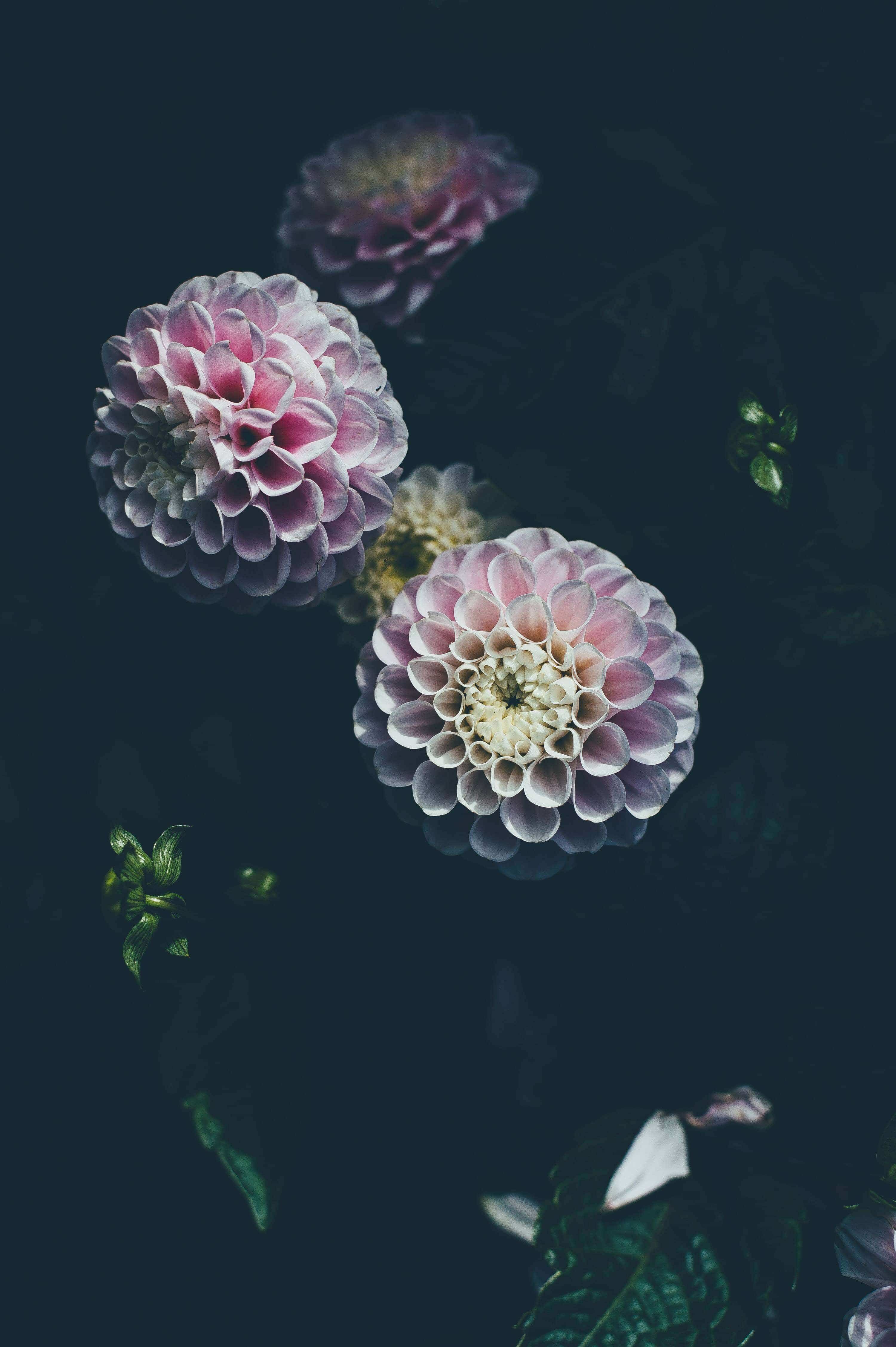 Blog3-1-1