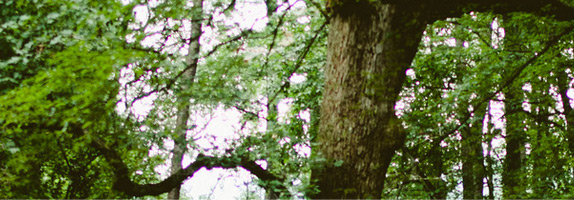 pic01-1