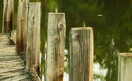 pics07